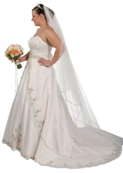 Imagen PNG para descargar